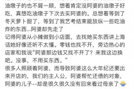 开原为什么选择专业追讨公司来处理您的债务纠纷？